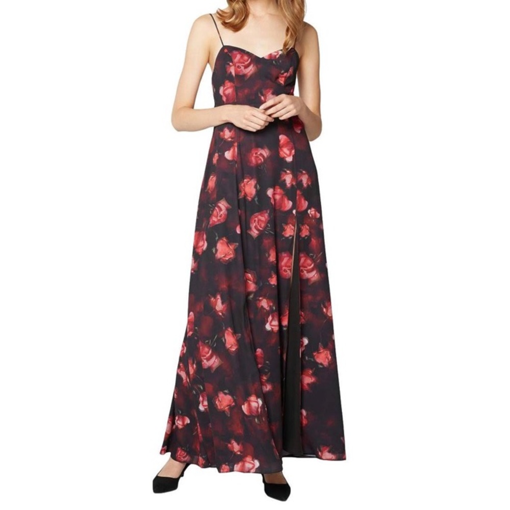 Fame and Partners floor length dress